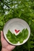 Love (heart) Small Bowl - 