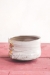 Christmas Tree Tea Bowl - 