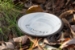 Courage Mini Bowl - 