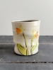 Daffodil Cup 