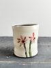 Echinacea Cup