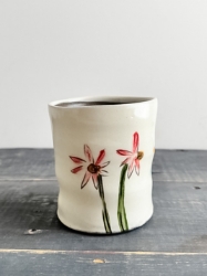Echinacea Cup 