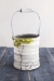 Fruit Tree Bucket (Small/Large - in 4 fantastic fruits!) - 