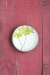 Fruit Tree Mini Plate (in 4 fantastic fruits!) - 