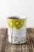 Fruit Tree Cup (in 4 fantastic fruits!) - 