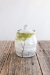 Fruit Tree Jar (in 4 fantastic fruits!) - 