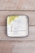 Fruit Tree Square Plate (Small/Large - in 4 fantastic fruits!) - 
