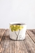 Fruit Trees Half Cup (in 4 fantastic fruits!) - 
