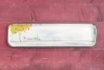 Fruit Tree Long Rectangle Tray (in 4 fantastic fruits!) 