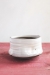Fruit Tree Tea Bowl (in 4 fantastic fruits!) - 