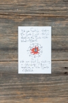 Greeting Cards - Family 
