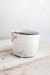 Love Tree Mug - 