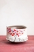 Love Tree Tea Bowl - 