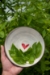 Love (heart) Small Bowl - 