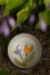 Rise Up Small Bowl - 