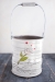Root to Rise Bucket (Small/Large - in 4 rising colors!) - 