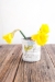 Root to Rise Cup (in 4 rising colors!) - 