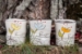Root to Rise Cup (in 4 rising colors!) - 