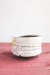 Root to Rise Tea Bowl (in 4 rising colors!) - 