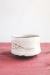 Root to Rise Tea Bowl (in 4 rising colors!) - 