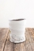 Season's Splendor Cup  - 