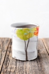 Seasons Cup 
