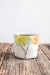 Seasons Half Cup  - 