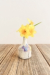 Seasons Single Stem Vase 