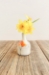 Seasons Single Stem Vase - 