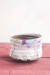 Seasons Tea Bowl - 