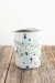 Winter Wonder Cup  - 