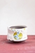 World Peace Tea Bowl - 