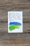 Greeting Cards - Gratitude 